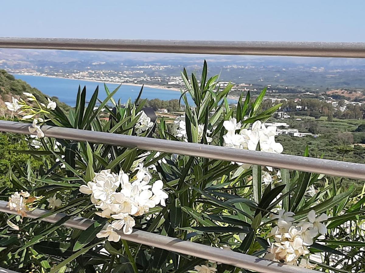 Aloe Villa Chania Crete ゲオルギオポリス エクステリア 写真