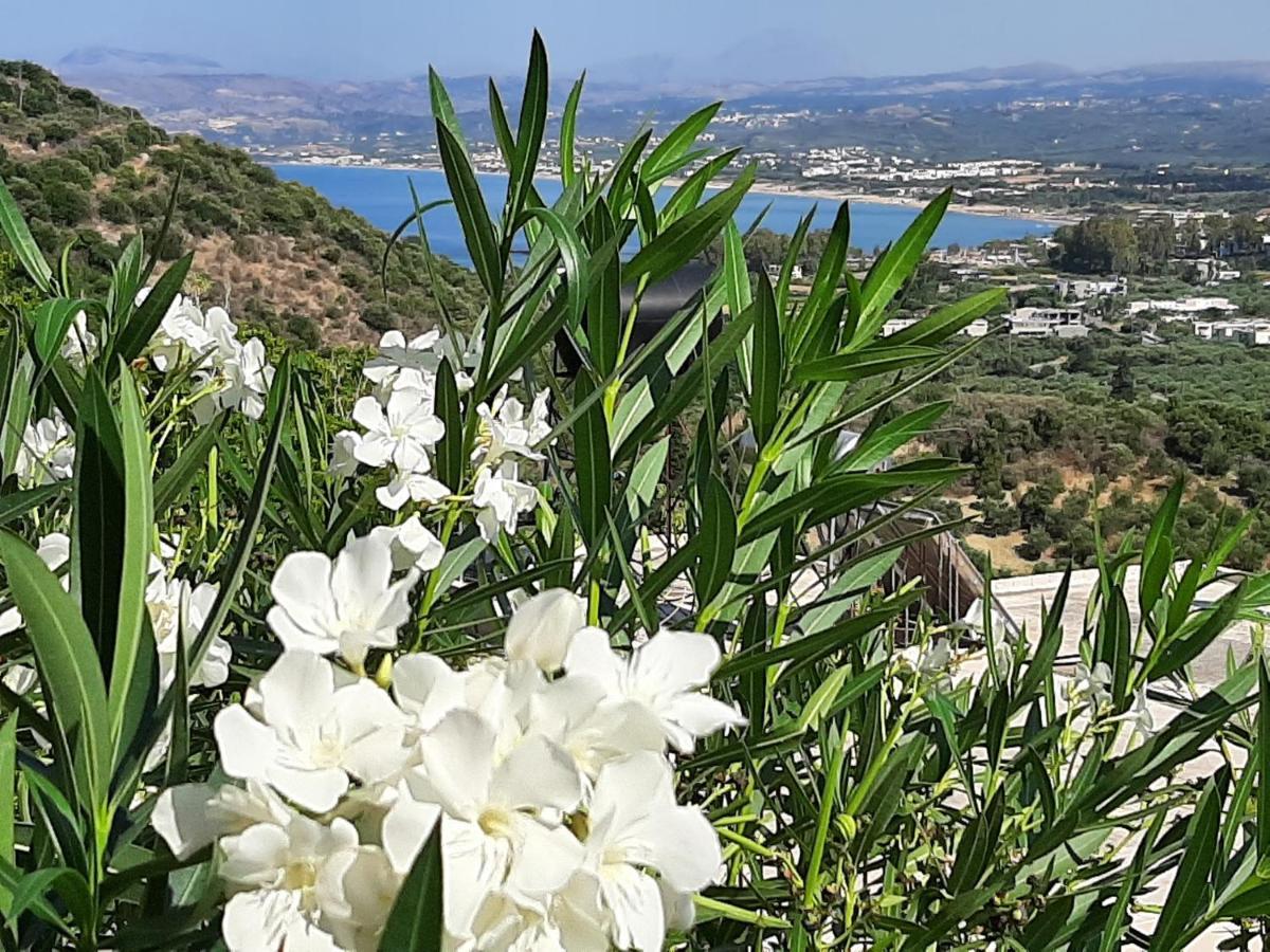 Aloe Villa Chania Crete ゲオルギオポリス エクステリア 写真