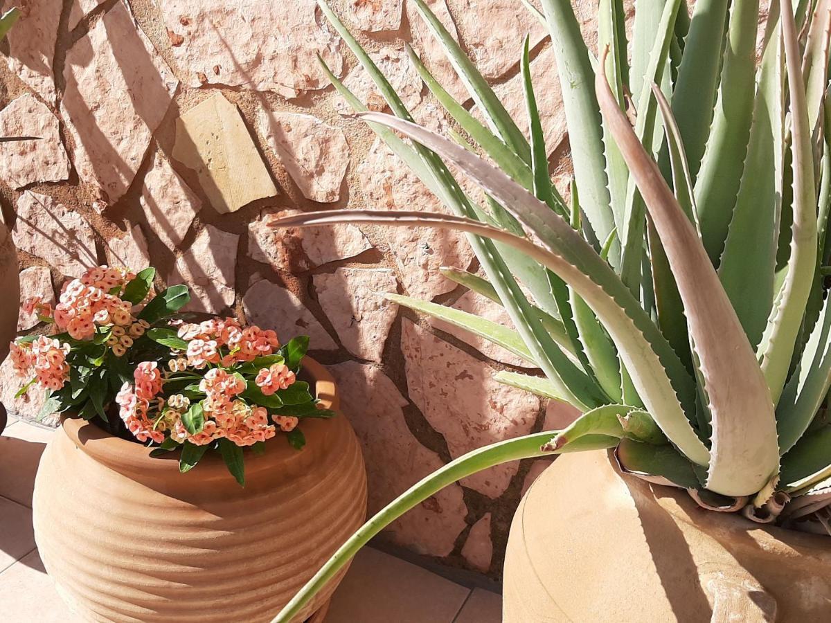 Aloe Villa Chania Crete ゲオルギオポリス エクステリア 写真