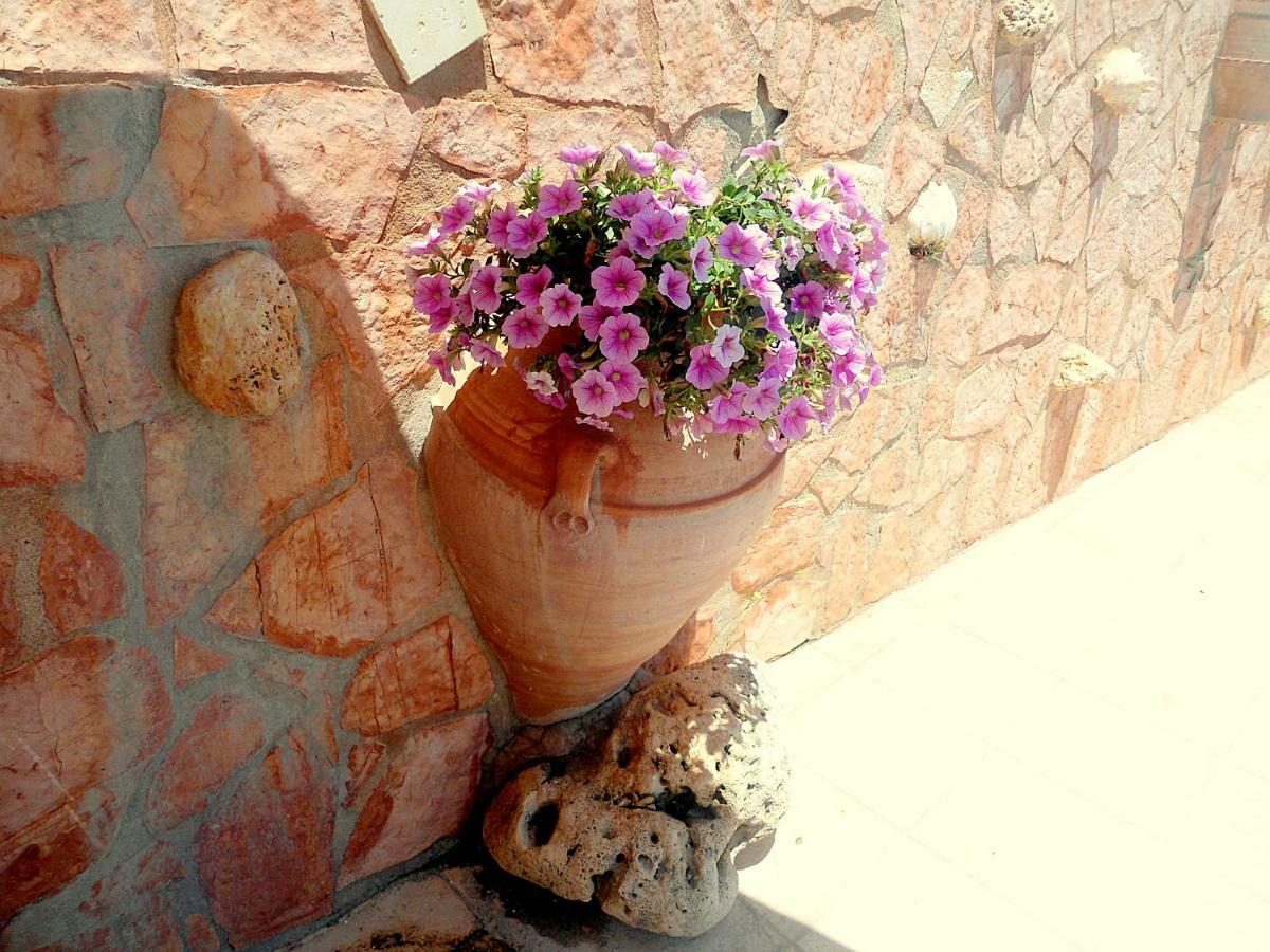 Aloe Villa Chania Crete ゲオルギオポリス エクステリア 写真